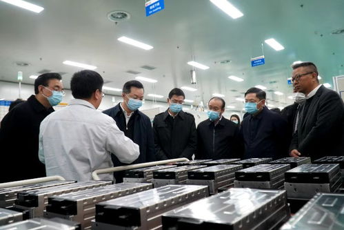 李刚副省长调研省能投集团 聚焦动力电池与分布式能源，擘画新兴能源技术研发新蓝图